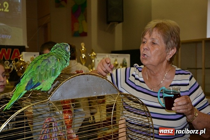 Zdjęcie w galerii na portalu naszraciborz.pl: Ptasie piękności na wystawie w Tworkowie wiadomości z regionu