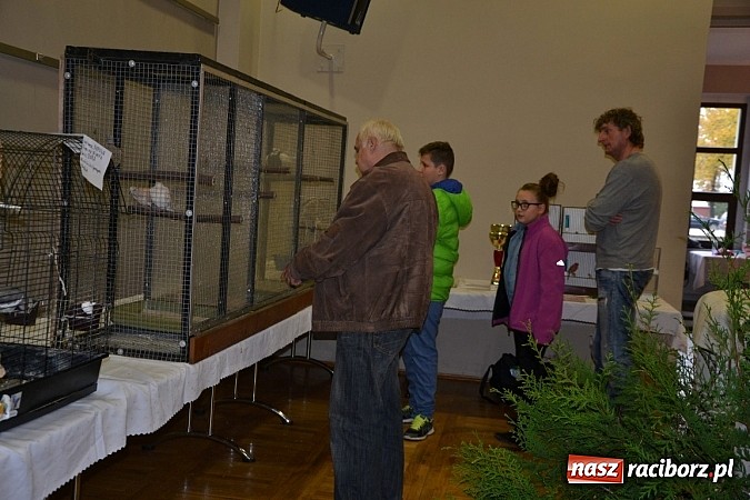 Zdjęcie w galerii na portalu naszraciborz.pl: Ptasie piękności na wystawie w Tworkowie wiadomości z regionu