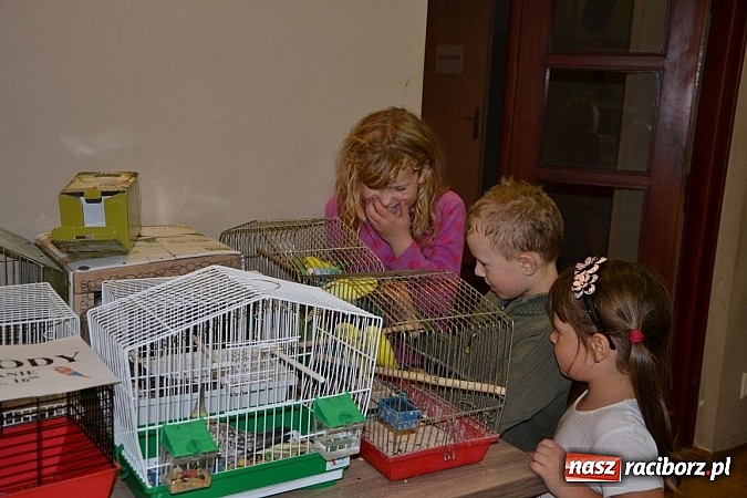 Zdjęcie w galerii na portalu naszraciborz.pl: Ptasie piękności na wystawie w Tworkowie wiadomości z regionu