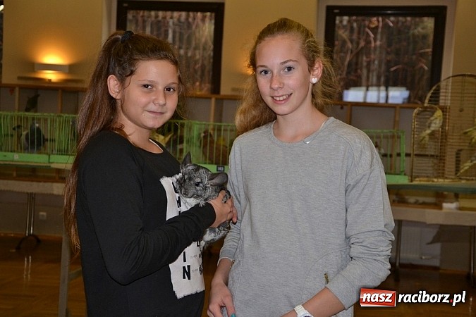 Zdjęcie w galerii na portalu naszraciborz.pl: Ptasie piękności na wystawie w Tworkowie wiadomości z regionu