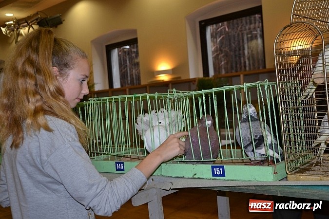 Zdjęcie w galerii na portalu naszraciborz.pl: Ptasie piękności na wystawie w Tworkowie wiadomości z regionu