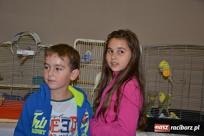 Zdjęcie w galerii na portalu naszraciborz.pl: Ptasie piękności na wystawie w Tworkowie wiadomości z regionu