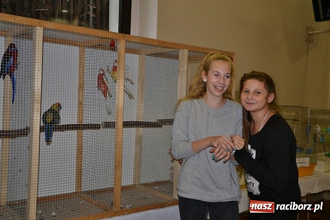 Zdjęcie w galerii na portalu naszraciborz.pl: Ptasie piękności na wystawie w Tworkowie wiadomości z regionu