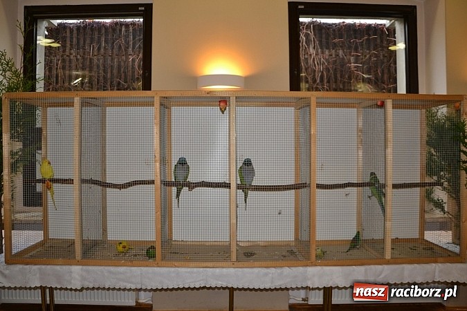 Zdjęcie w galerii na portalu naszraciborz.pl: Ptasie piękności na wystawie w Tworkowie wiadomości z regionu