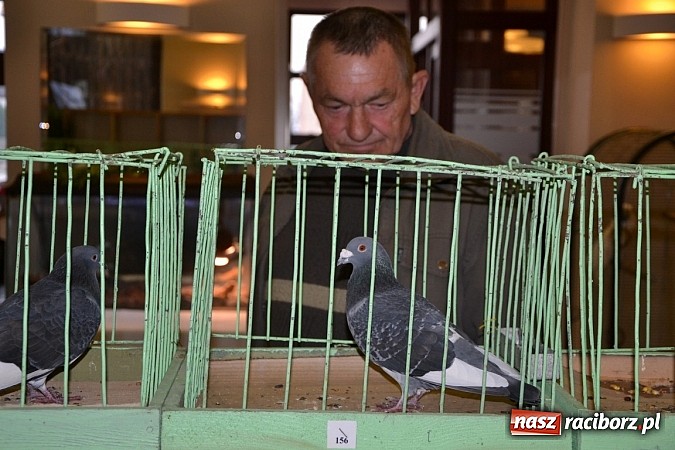 Zdjęcie w galerii na portalu naszraciborz.pl: Ptasie piękności na wystawie w Tworkowie wiadomości z regionu