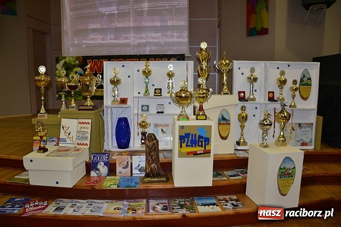 Zdjęcie w galerii na portalu naszraciborz.pl: Ptasie piękności na wystawie w Tworkowie wiadomości z regionu