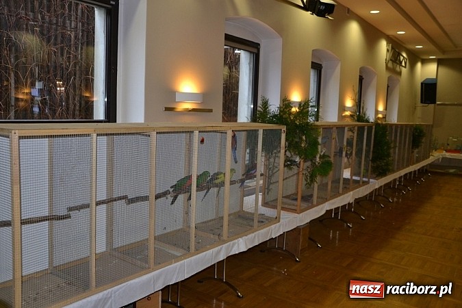 Zdjęcie w galerii na portalu naszraciborz.pl: Ptasie piękności na wystawie w Tworkowie wiadomości z regionu