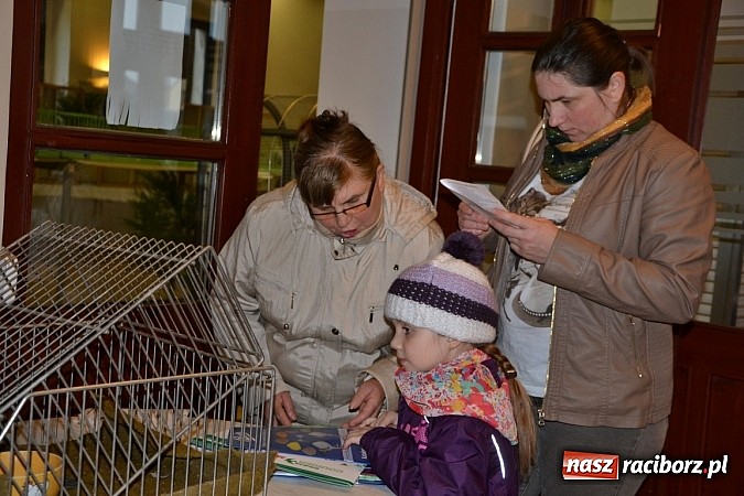 Zdjęcie w galerii na portalu naszraciborz.pl: Ptasie piękności na wystawie w Tworkowie wiadomości z regionu