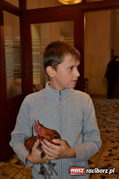 Zdjęcie w galerii na portalu naszraciborz.pl: Ptasie piękności na wystawie w Tworkowie wiadomości z regionu