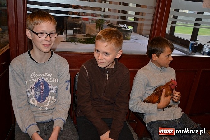 Zdjęcie w galerii na portalu naszraciborz.pl: Ptasie piękności na wystawie w Tworkowie wiadomości z regionu