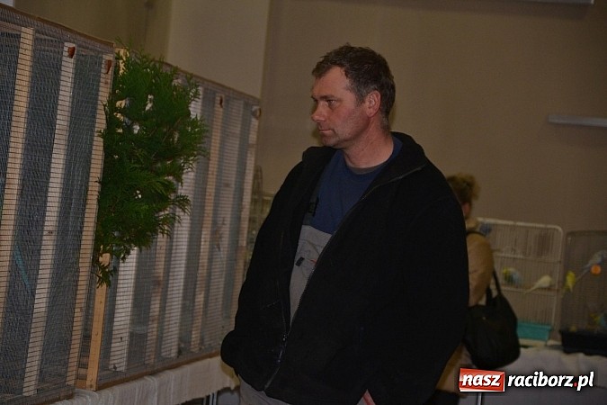 Zdjęcie w galerii na portalu naszraciborz.pl: Ptasie piękności na wystawie w Tworkowie wiadomości z regionu