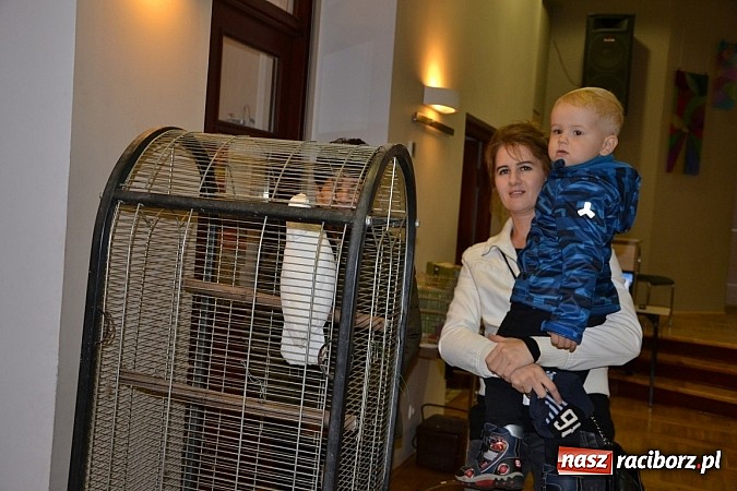 Zdjęcie w galerii na portalu naszraciborz.pl: Ptasie piękności na wystawie w Tworkowie wiadomości z regionu