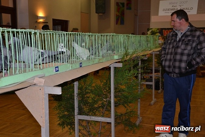 Zdjęcie w galerii na portalu naszraciborz.pl: Ptasie piękności na wystawie w Tworkowie wiadomości z regionu