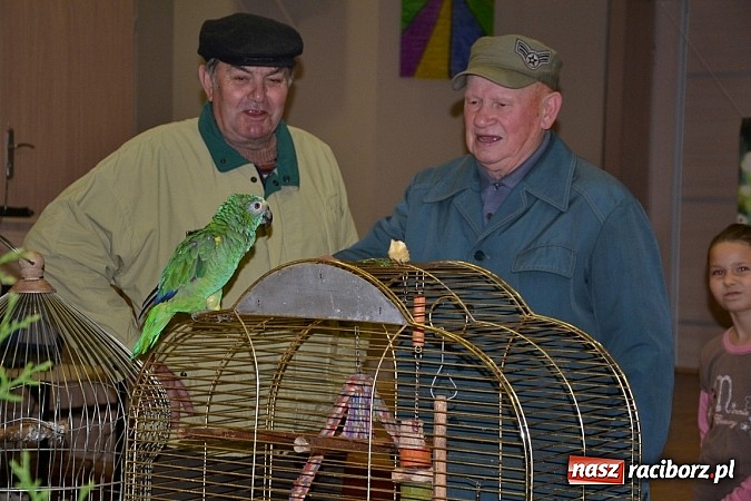 Zdjęcie w galerii na portalu naszraciborz.pl: Ptasie piękności na wystawie w Tworkowie wiadomości z regionu