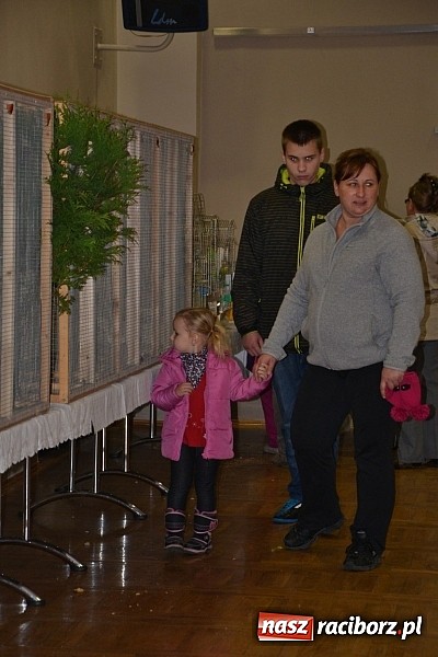 Zdjęcie w galerii na portalu naszraciborz.pl: Ptasie piękności na wystawie w Tworkowie wiadomości z regionu