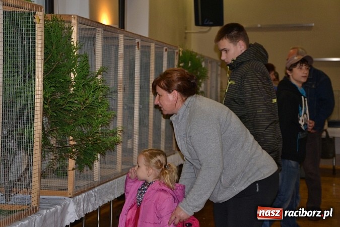 Zdjęcie w galerii na portalu naszraciborz.pl: Ptasie piękności na wystawie w Tworkowie wiadomości z regionu