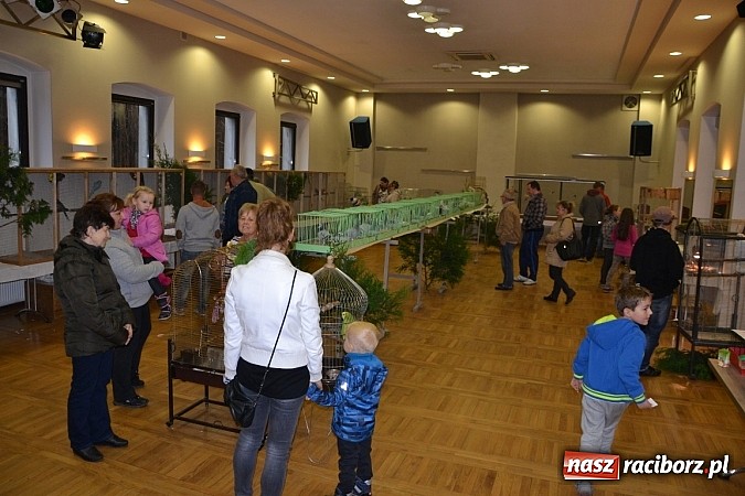 Zdjęcie w galerii na portalu naszraciborz.pl: Ptasie piękności na wystawie w Tworkowie wiadomości z regionu