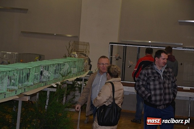 Zdjęcie w galerii na portalu naszraciborz.pl: Ptasie piękności na wystawie w Tworkowie wiadomości z regionu