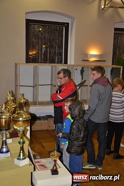 Zdjęcie w galerii na portalu naszraciborz.pl: Ptasie piękności na wystawie w Tworkowie wiadomości z regionu