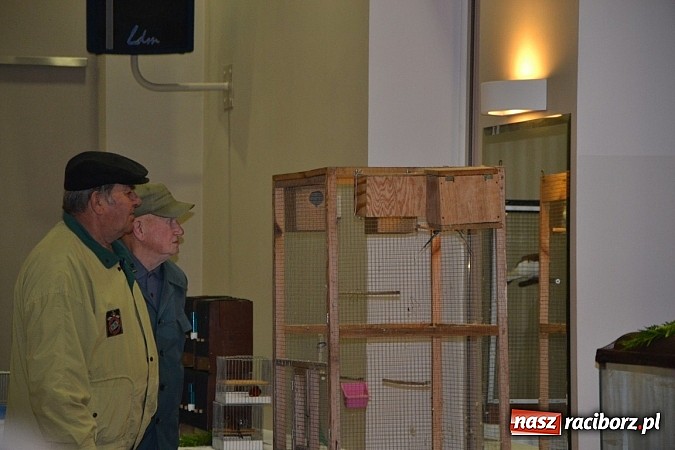 Zdjęcie w galerii na portalu naszraciborz.pl: Ptasie piękności na wystawie w Tworkowie wiadomości z regionu