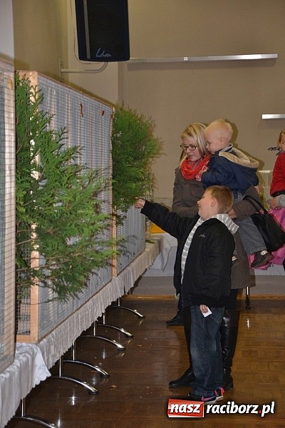 Zdjęcie w galerii na portalu naszraciborz.pl: Ptasie piękności na wystawie w Tworkowie wiadomości z regionu