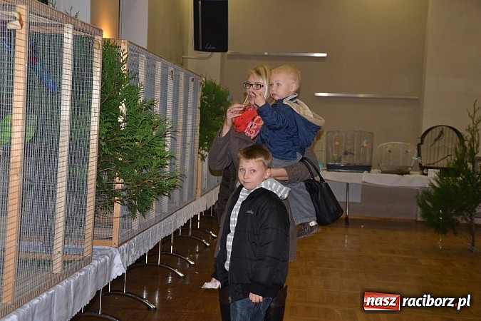 Zdjęcie w galerii na portalu naszraciborz.pl: Ptasie piękności na wystawie w Tworkowie wiadomości z regionu