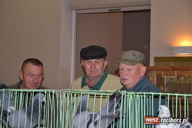 Zdjęcie w galerii na portalu naszraciborz.pl: Ptasie piękności na wystawie w Tworkowie wiadomości z regionu