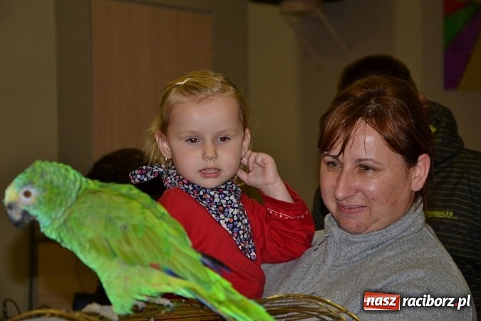 Zdjęcie w galerii na portalu naszraciborz.pl: Ptasie piękności na wystawie w Tworkowie wiadomości z regionu