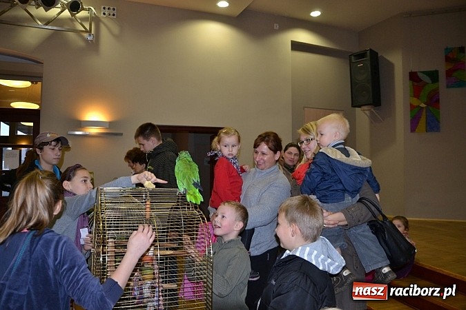 Zdjęcie w galerii na portalu naszraciborz.pl: Ptasie piękności na wystawie w Tworkowie wiadomości z regionu