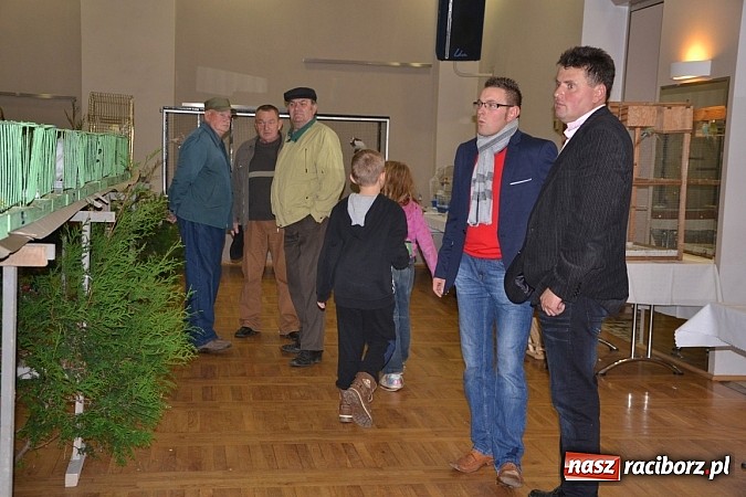 Zdjęcie w galerii na portalu naszraciborz.pl: Ptasie piękności na wystawie w Tworkowie wiadomości z regionu