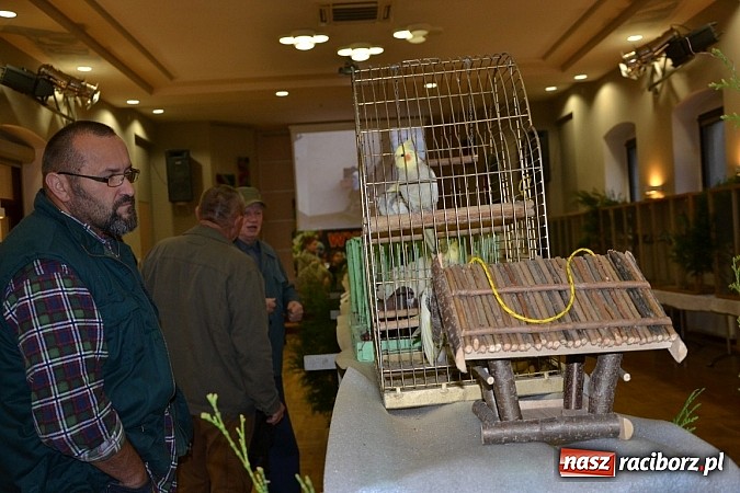 Zdjęcie w galerii na portalu naszraciborz.pl: Ptasie piękności na wystawie w Tworkowie wiadomości z regionu