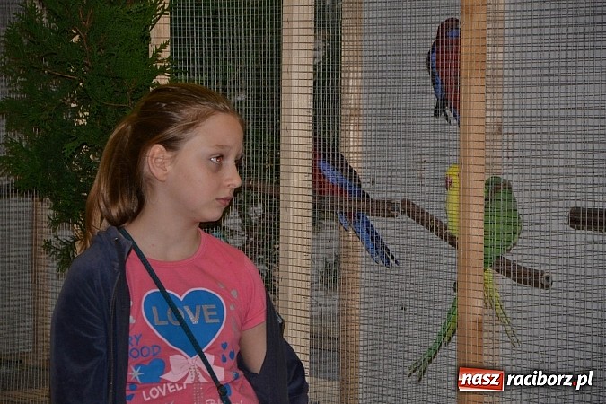 Zdjęcie w galerii na portalu naszraciborz.pl: Ptasie piękności na wystawie w Tworkowie wiadomości z regionu