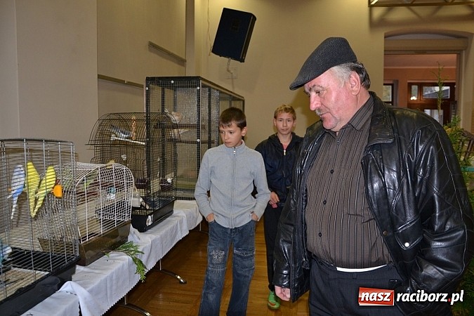 Zdjęcie w galerii na portalu naszraciborz.pl: Ptasie piękności na wystawie w Tworkowie wiadomości z regionu