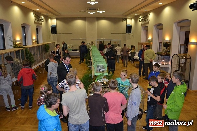 Zdjęcie w galerii na portalu naszraciborz.pl: Ptasie piękności na wystawie w Tworkowie wiadomości z regionu