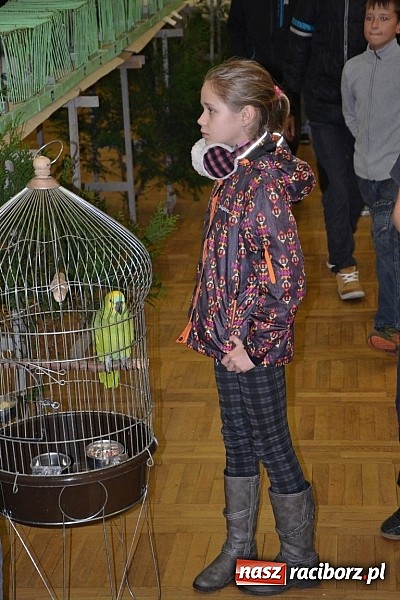 Zdjęcie w galerii na portalu naszraciborz.pl: Ptasie piękności na wystawie w Tworkowie wiadomości z regionu