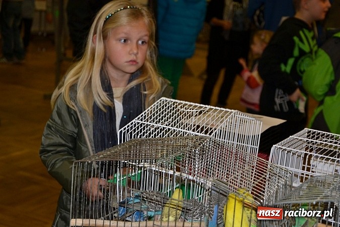 Zdjęcie w galerii na portalu naszraciborz.pl: Ptasie piękności na wystawie w Tworkowie wiadomości z regionu