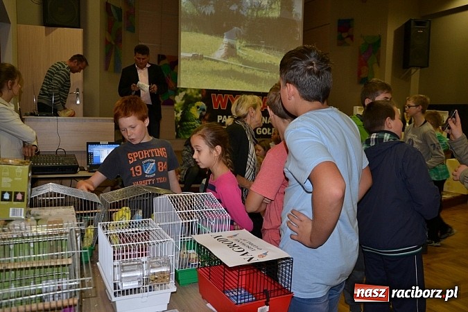 Zdjęcie w galerii na portalu naszraciborz.pl: Ptasie piękności na wystawie w Tworkowie wiadomości z regionu