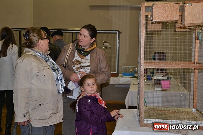 Zdjęcie w galerii na portalu naszraciborz.pl: Ptasie piękności na wystawie w Tworkowie wiadomości z regionu