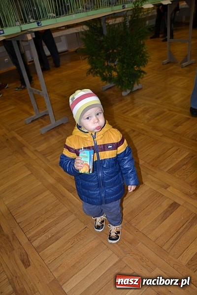 Zdjęcie w galerii na portalu naszraciborz.pl: Ptasie piękności na wystawie w Tworkowie wiadomości z regionu