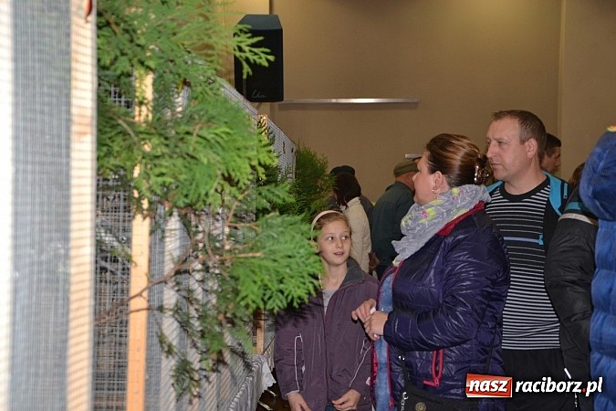 Zdjęcie w galerii na portalu naszraciborz.pl: Ptasie piękności na wystawie w Tworkowie wiadomości z regionu