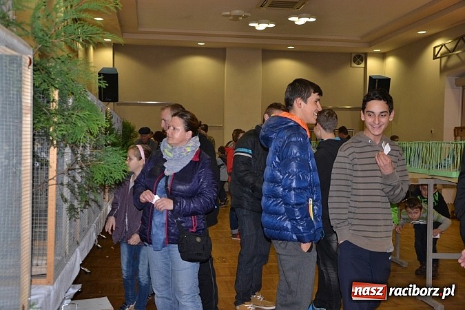 Zdjęcie w galerii na portalu naszraciborz.pl: Ptasie piękności na wystawie w Tworkowie wiadomości z regionu