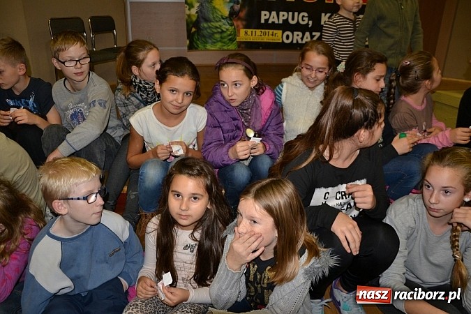 Zdjęcie w galerii na portalu naszraciborz.pl: Ptasie piękności na wystawie w Tworkowie wiadomości z regionu