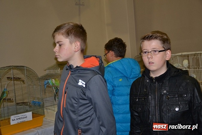 Zdjęcie w galerii na portalu naszraciborz.pl: Ptasie piękności na wystawie w Tworkowie wiadomości z regionu