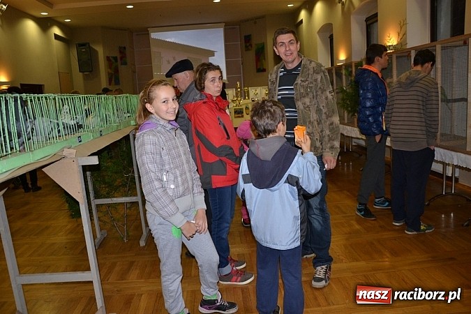 Zdjęcie w galerii na portalu naszraciborz.pl: Ptasie piękności na wystawie w Tworkowie wiadomości z regionu