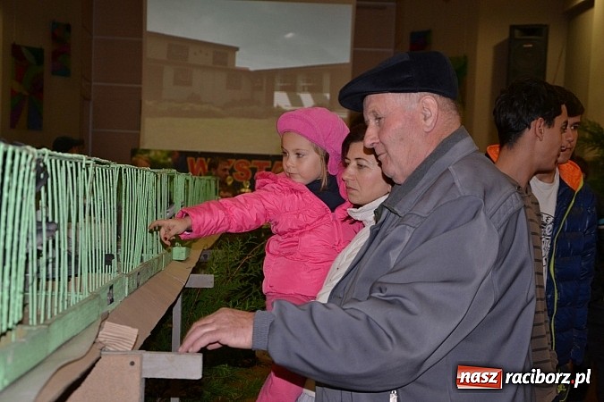 Zdjęcie w galerii na portalu naszraciborz.pl: Ptasie piękności na wystawie w Tworkowie wiadomości z regionu