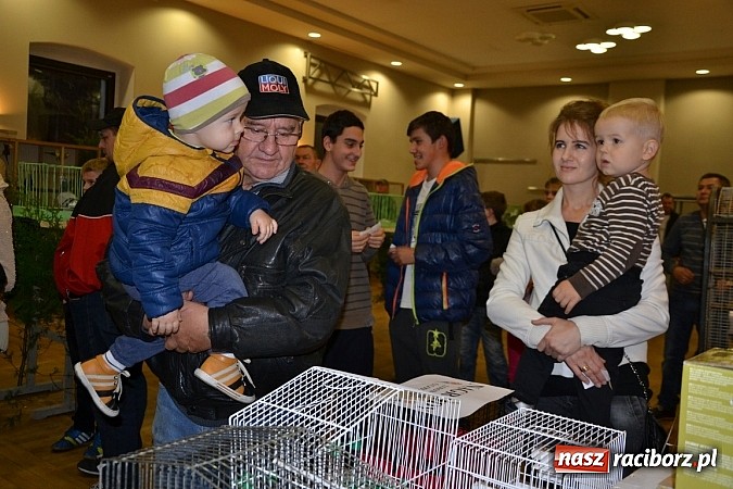 Zdjęcie w galerii na portalu naszraciborz.pl: Ptasie piękności na wystawie w Tworkowie wiadomości z regionu