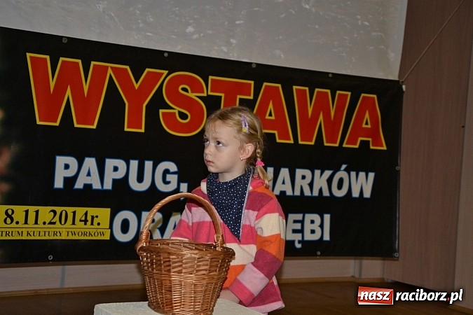 Zdjęcie w galerii na portalu naszraciborz.pl: Ptasie piękności na wystawie w Tworkowie wiadomości z regionu