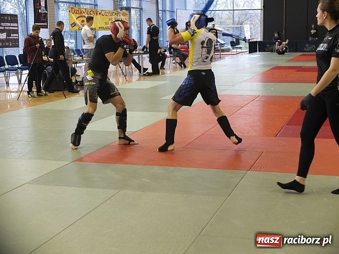 Zdjęcie w galerii na portalu naszraciborz.pl: Fullcontactowe zawody ALMMA w Bytomiu  wiadomości z regionu