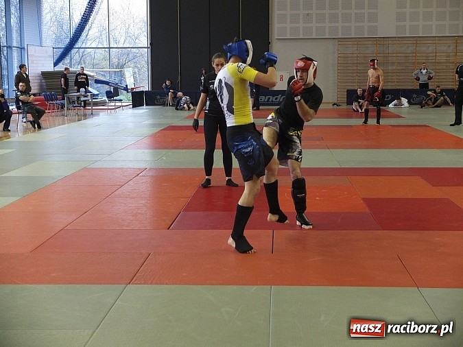 Zdjęcie w galerii na portalu naszraciborz.pl: Fullcontactowe zawody ALMMA w Bytomiu  wiadomości z regionu