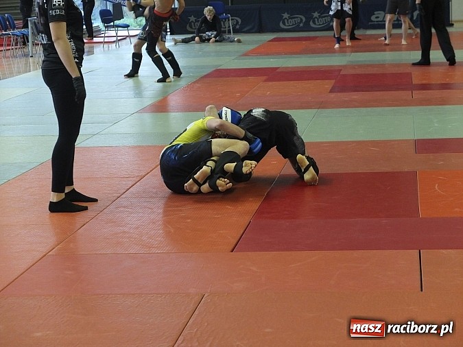 Zdjęcie w galerii na portalu naszraciborz.pl: Fullcontactowe zawody ALMMA w Bytomiu  wiadomości z regionu